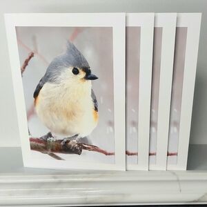 4  **Super Cute** Tufted Titmouse Matte Finish Blank Photo Cards